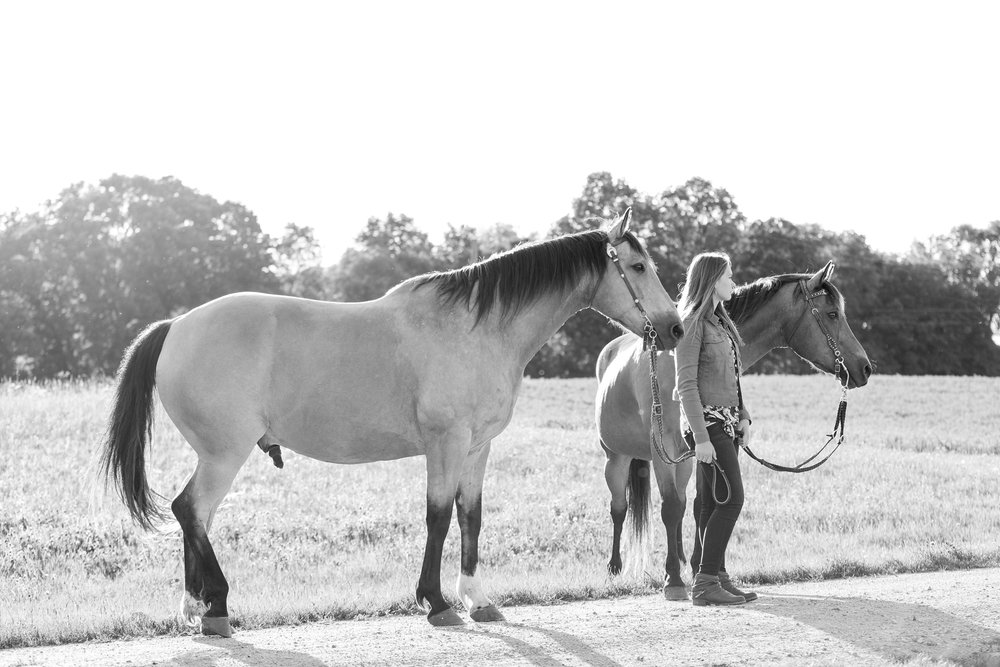 Country Styled Senior Session with Horses near Audubon, MN | Hannah
