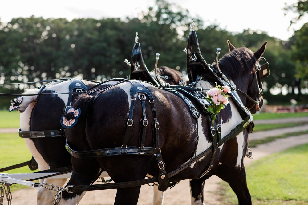 Amber Langerud Photography_Lake Park Minnesota, Outdoor Barn Wedding With Horses_6999.jpg