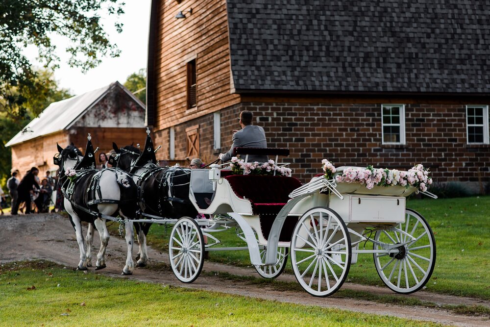 Amber Langerud Photography_Lake Park Minnesota, Outdoor Barn Wedding With Horses_7001.jpg
