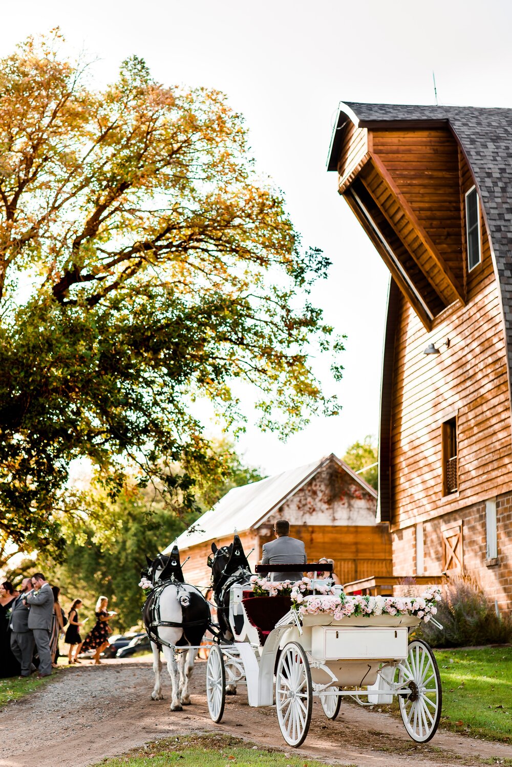 Amber Langerud Photography_Lake Park Minnesota, Outdoor Barn Wedding With Horses_7002.jpg