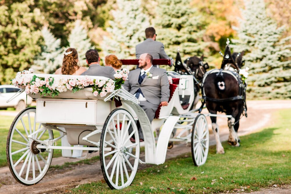 Amber Langerud Photography_Lake Park Minnesota, Outdoor Barn Wedding With Horses_7004.jpg