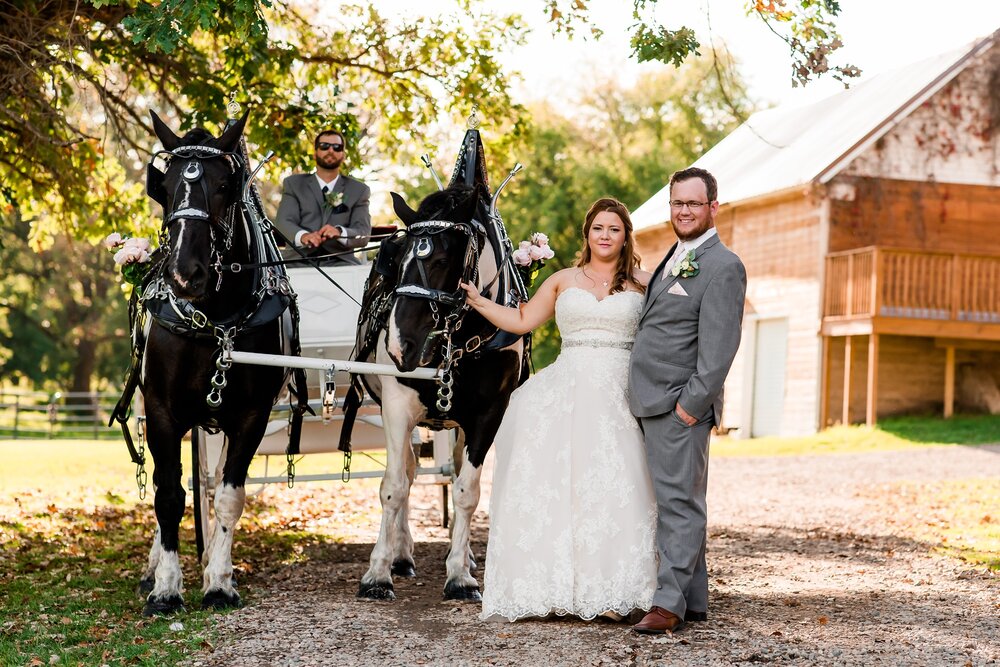 Amber Langerud Photography_Lake Park Minnesota, Outdoor Barn Wedding With Horses_7006.jpg