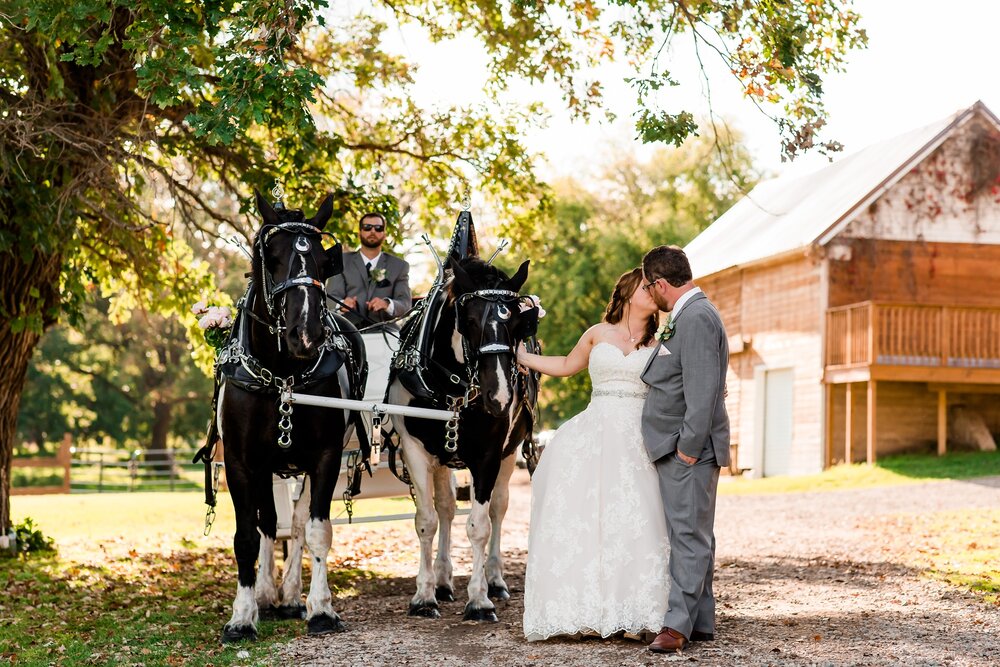 Amber Langerud Photography_Lake Park Minnesota, Outdoor Barn Wedding With Horses_7007.jpg