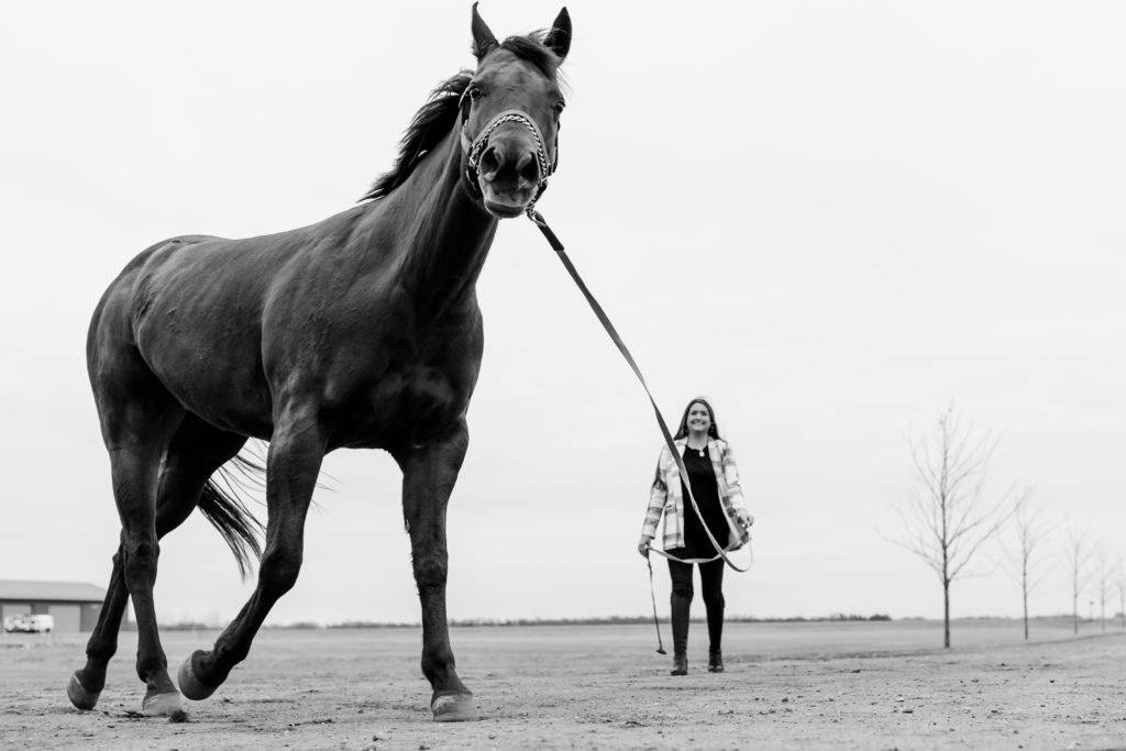 Girl lunging a horse in black and white