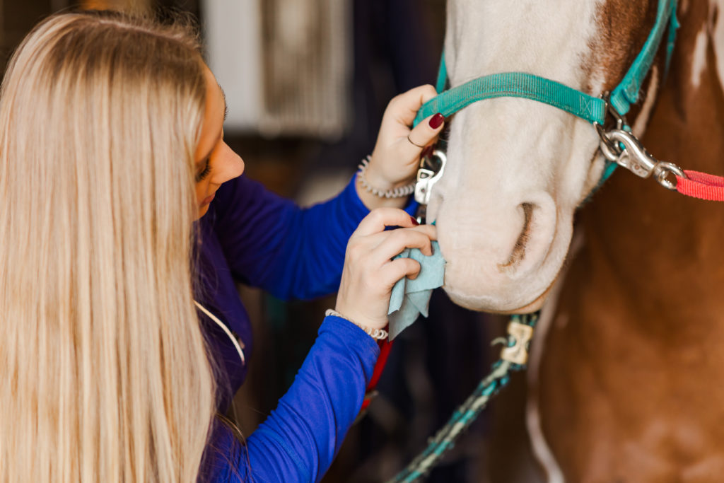Girl Cleaning Her Horse's Nose