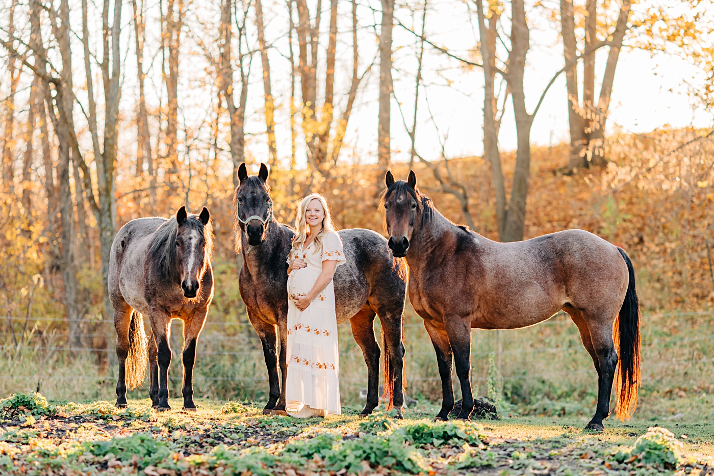 Maternity Pictures with 3 Horses at Sunset
