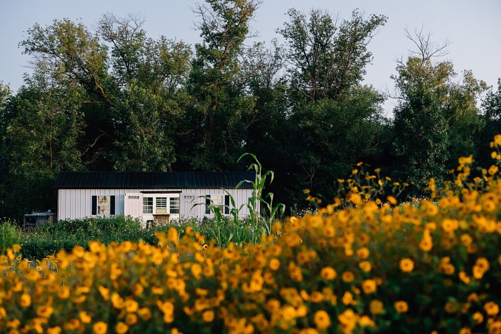 Where to have your brand photography session in Detroit Lakes, MN: True Blue flower co Upick field