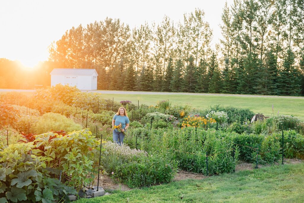 Olson Blooms flower farm brand photography by Minnesota photographer Amber Langerud