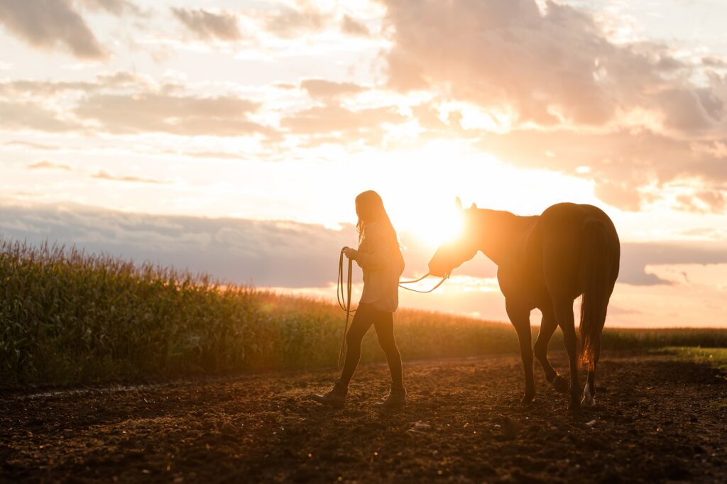 High School Senior Pictures with your horse, the silhouette