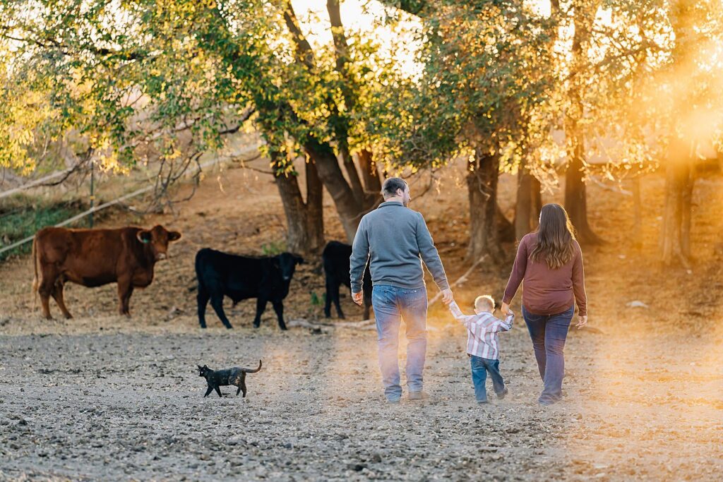 Detroit Lakes, summer family photo ideas - capturing your farm life